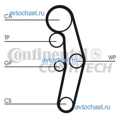 CT1028 CONTITECH 