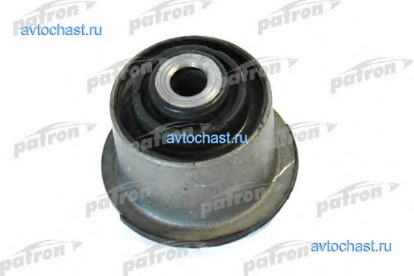 PSE1054 PATRON ����
