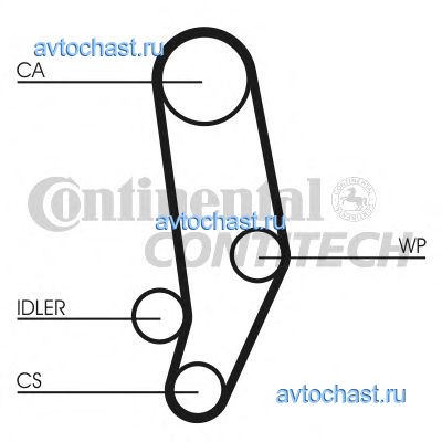 CT704 CONTITECH 