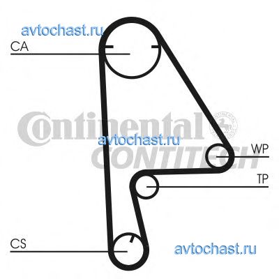 CT1082 CONTITECH 