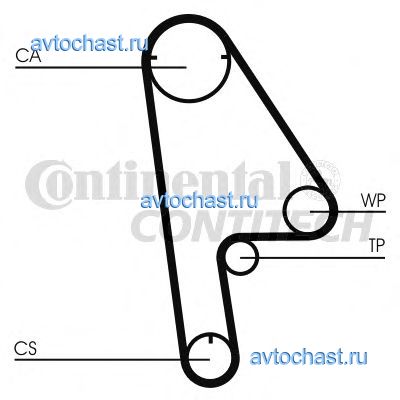 CT1001 CONTITECH 