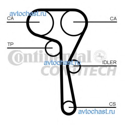 CT1167 CONTITECH 