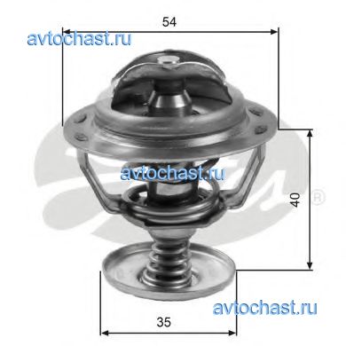 TH06082G1 GATES ����