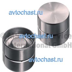 50006425 KOLBENSCHMIDT ����