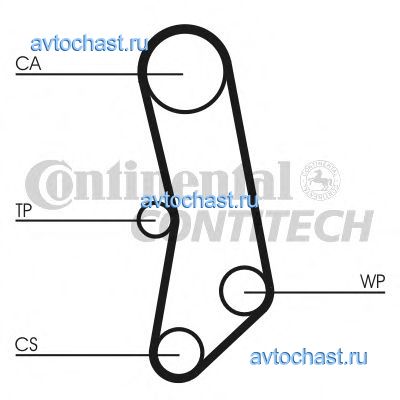 CT503 CONTITECH 