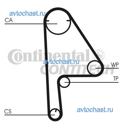 CT1081 CONTITECH 