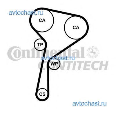 CT1184 CONTITECH 