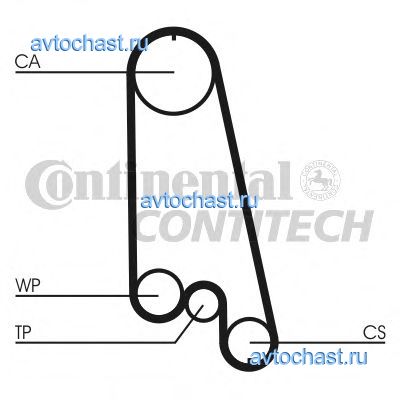 CT874WP5 CONTITECH 