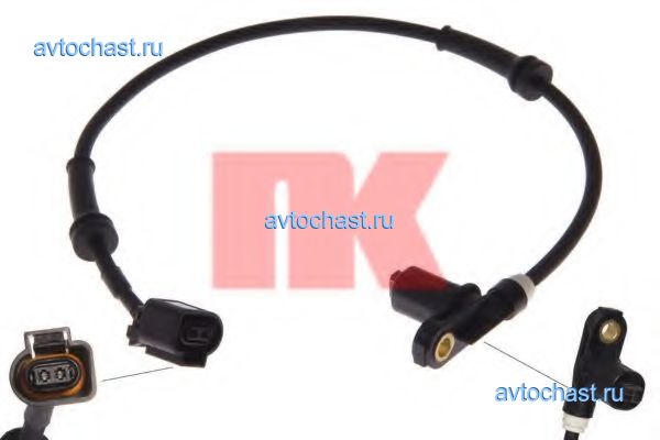 292519 NK ����