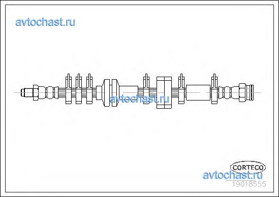 19018555 CORTECO 