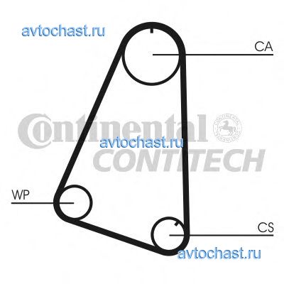 CT504 CONTITECH 