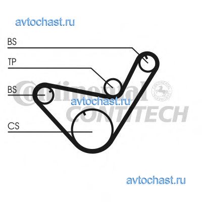 CT714 CONTITECH 