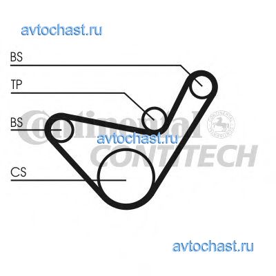 CT1107 CONTITECH 