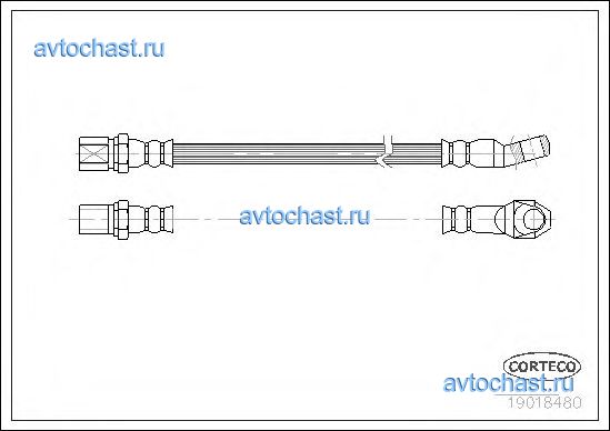 19018480 CORTECO 