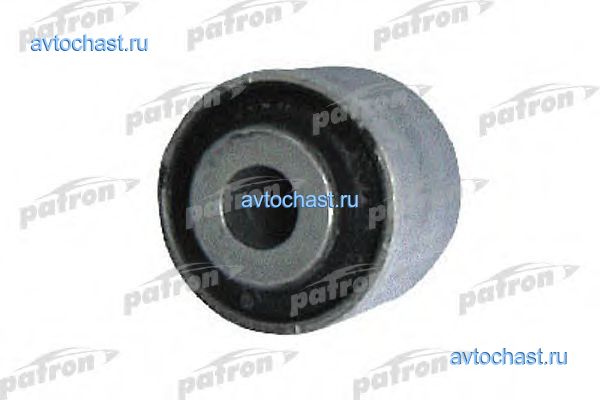 PSE1031 PATRON ����