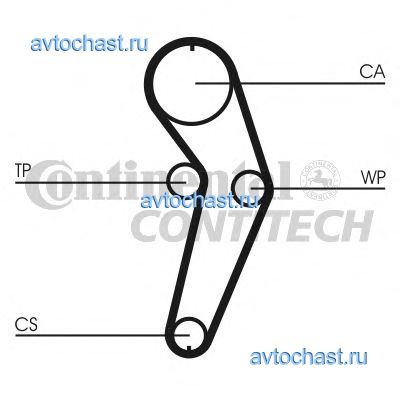 CT988 CONTITECH 