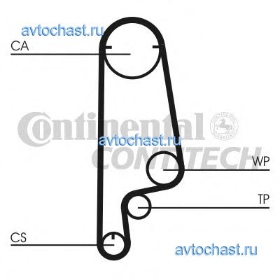 CT799 CONTITECH 