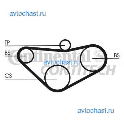 CT800K1 CONTITECH 