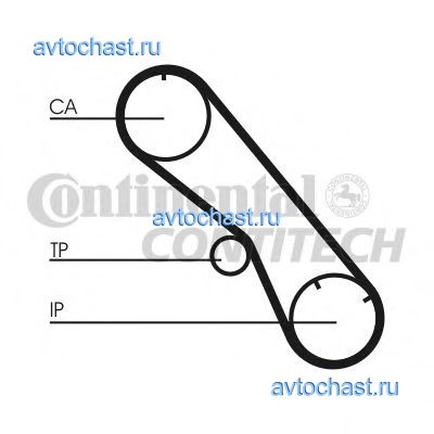 CT1153 CONTITECH 