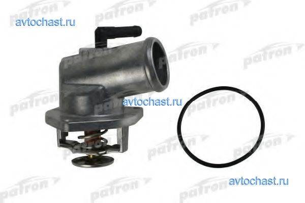 PE21021 PATRON ����