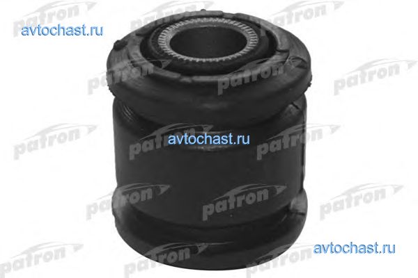 PSE10099 PATRON ФОТО