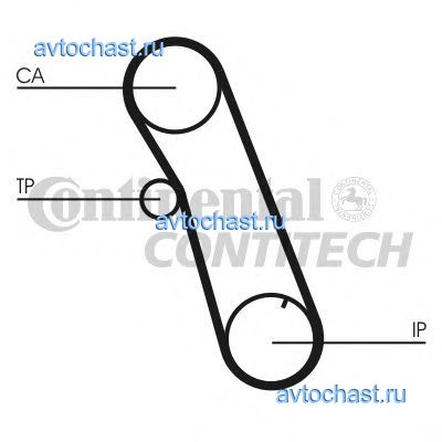 CT616 CONTITECH 