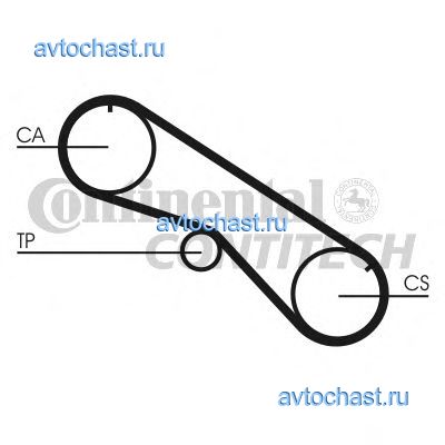 CT818 CONTITECH 