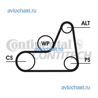 6PK1042ELAST CONTITECH 