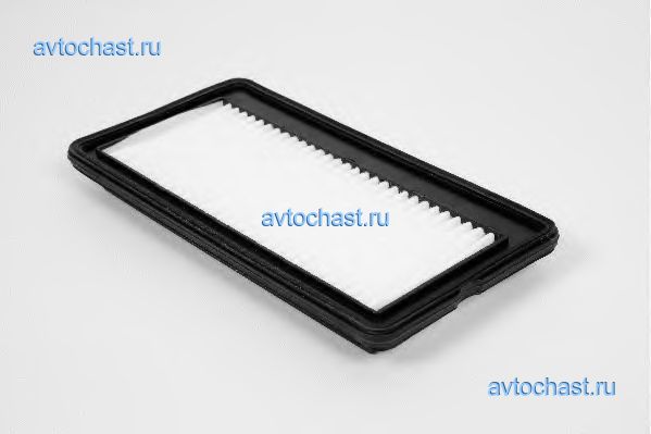 U824606 CHAMPION ФОТО