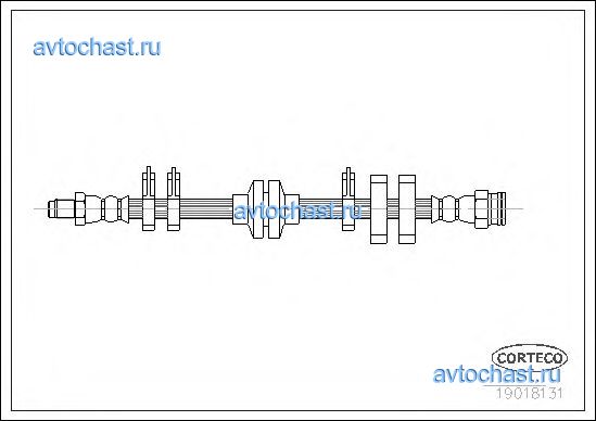 19018131 CORTECO 