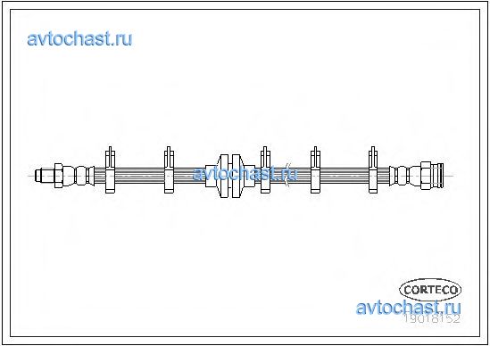 19018152 CORTECO 