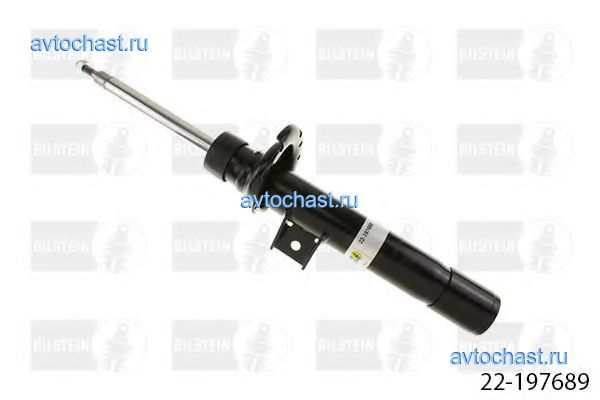 22197689 BILSTEIN ФОТО