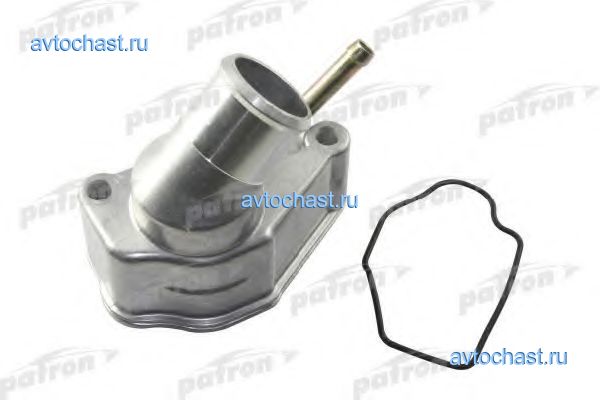 PE21031 PATRON ����