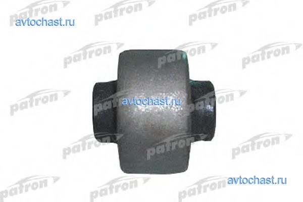 PSE1022 PATRON ����