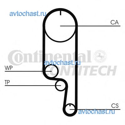 CT1008 CONTITECH 