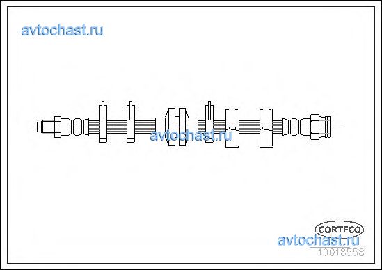 19018558 CORTECO 