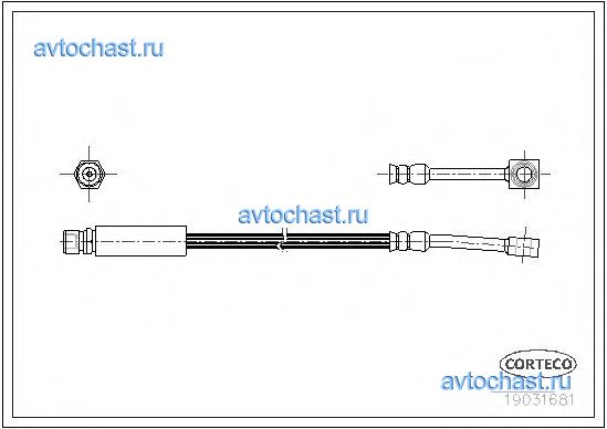 19031681 CORTECO 