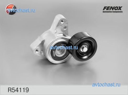 R54119 FENOX ����