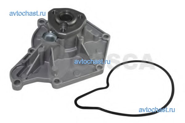 06251 OSSCA ФОТО