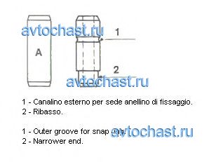 010395 METELLI ����