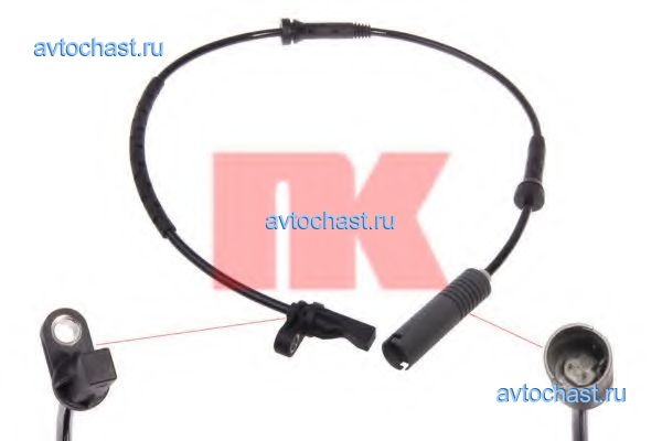 291518 NK ����