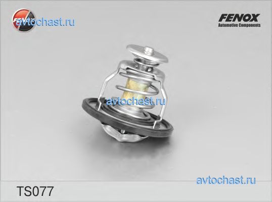 TS077 FENOX 
