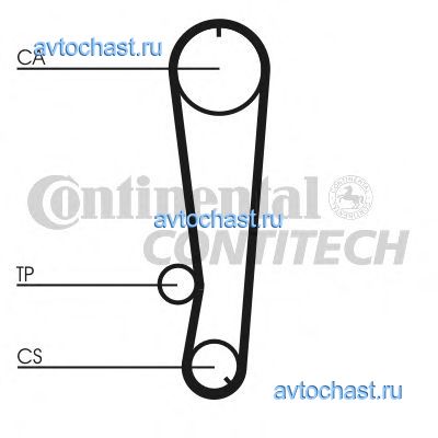 CT655 CONTITECH 