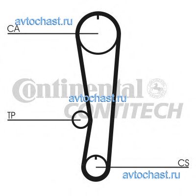 CT895 CONTITECH 