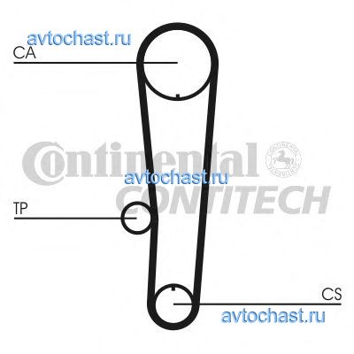 CT1017 CONTITECH 