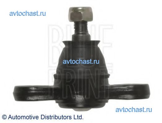 ADG086138 BLUE PRINT 