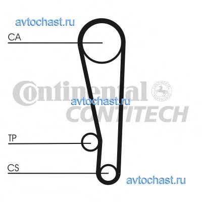 CT1013 CONTITECH 