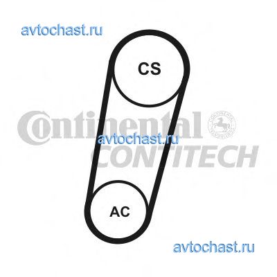 5PK705ELASTT1 CONTITECH 