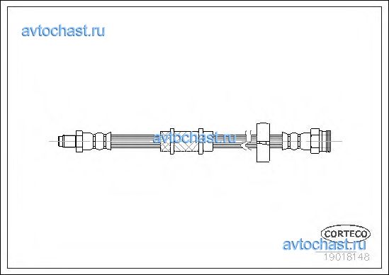 19018148 CORTECO 