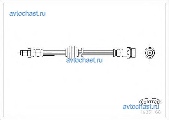 19031168 CORTECO 